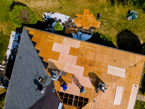 Best Roof Maintenance Services  in Harrington Park, NJ