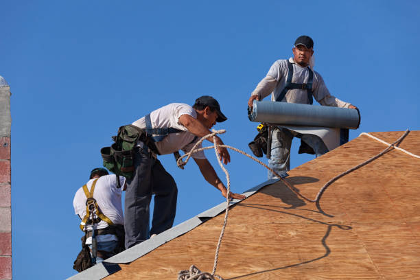 Best Flat Roof Repair Services  in Harrington Park, NJ