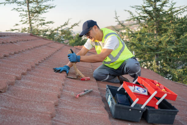 Best Sealant for Roof  in Harrington Park, NJ