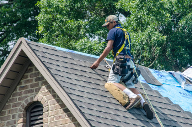 Best Roof Repair Services  in Harrington Park, NJ