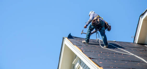 Best Roof Leak Repair  in Harrington Park, NJ